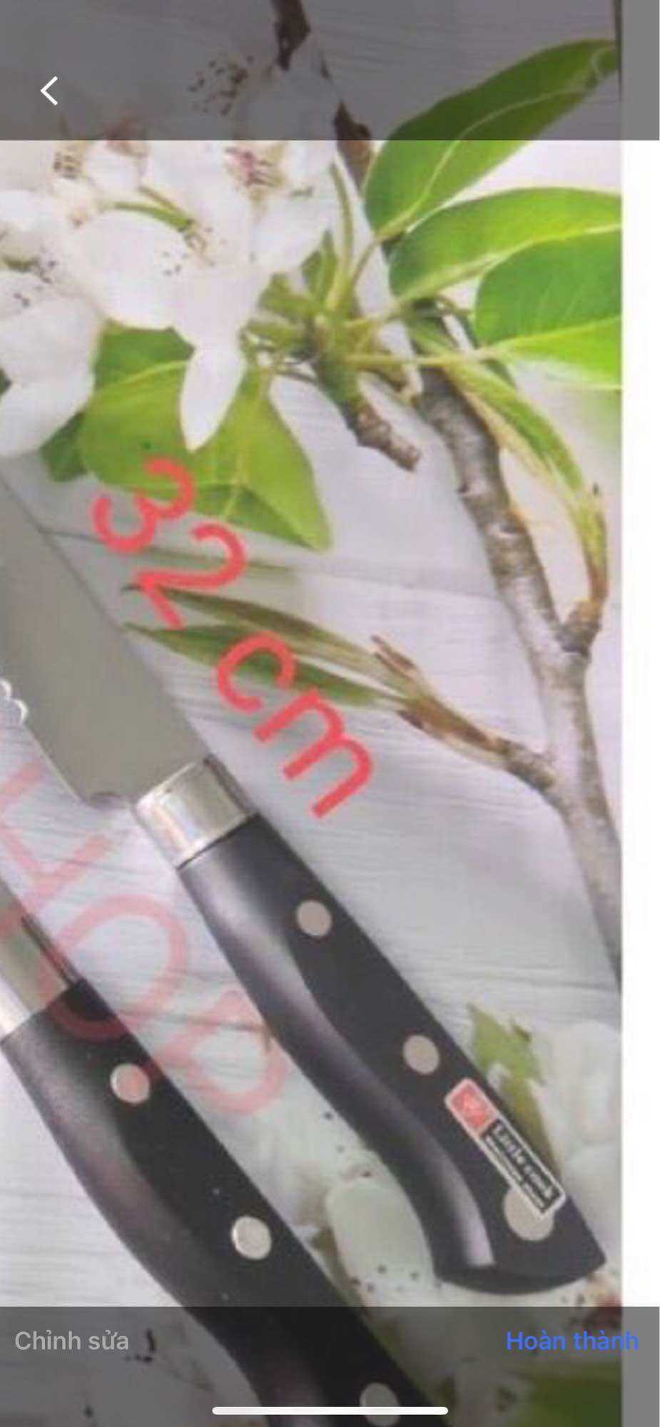 Dao răng cưa cắt bánh mì
