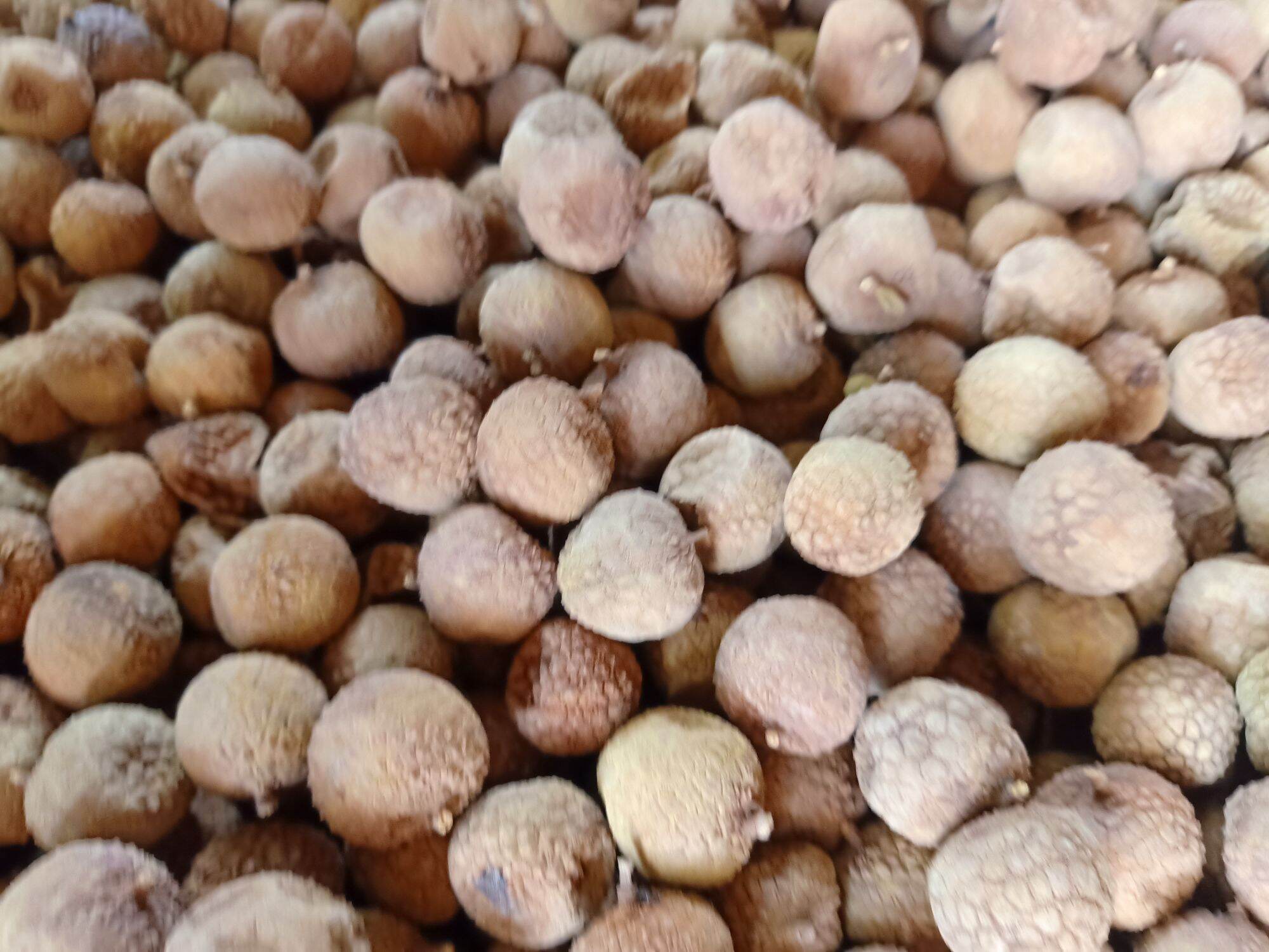 10kg vải sấy khô hàng ngon