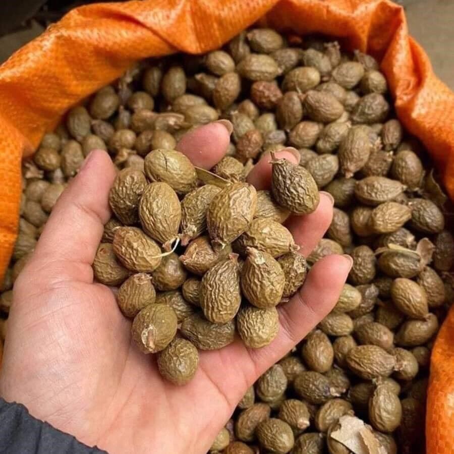 Combo 1 kg mắc ca, 0.5 kg hạt ươi