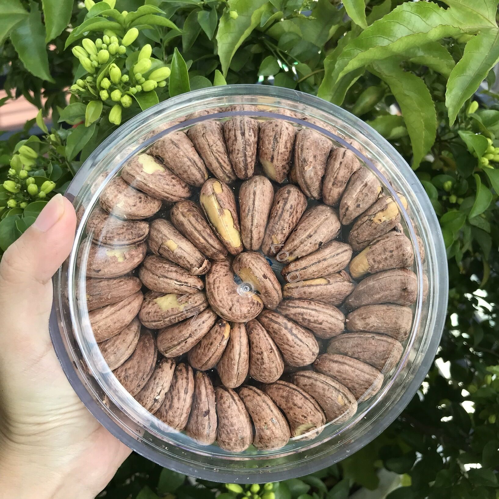 Hạt điều rang muối bình phước loại 1 500g