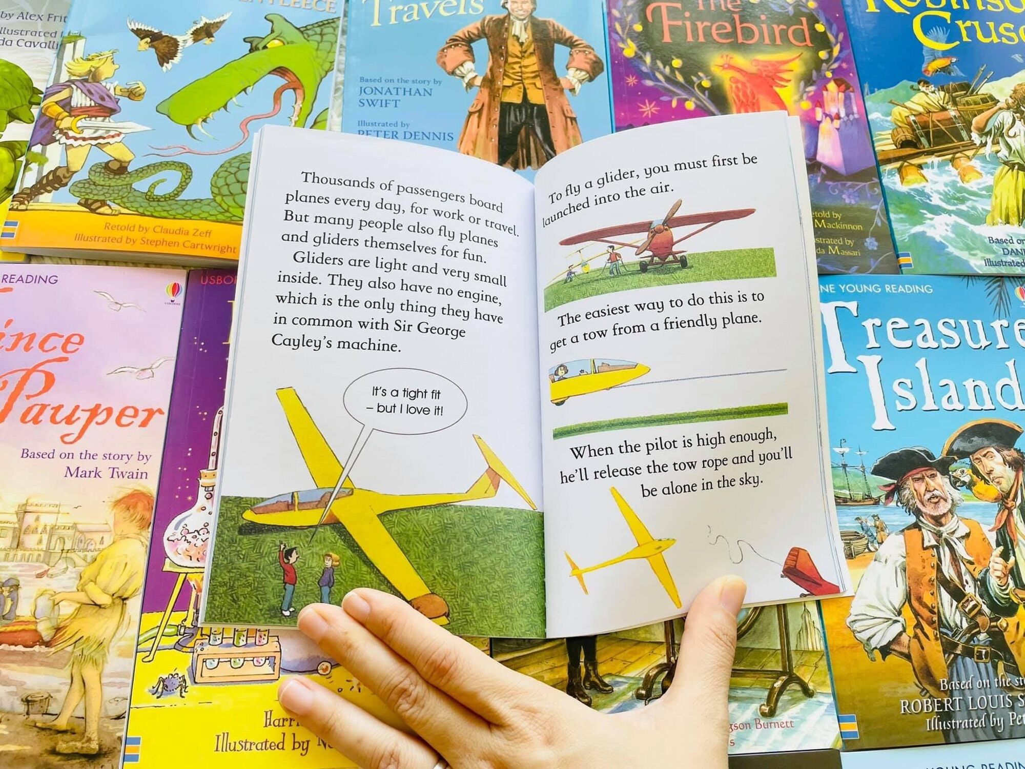 The Usborne Reading Collection (Purple box)