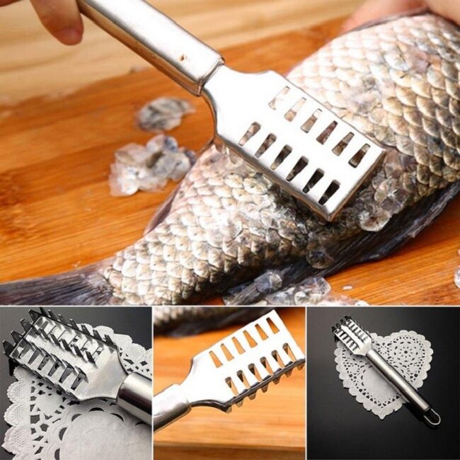 Dụng cụ đánh vảy cá chuyên dụng