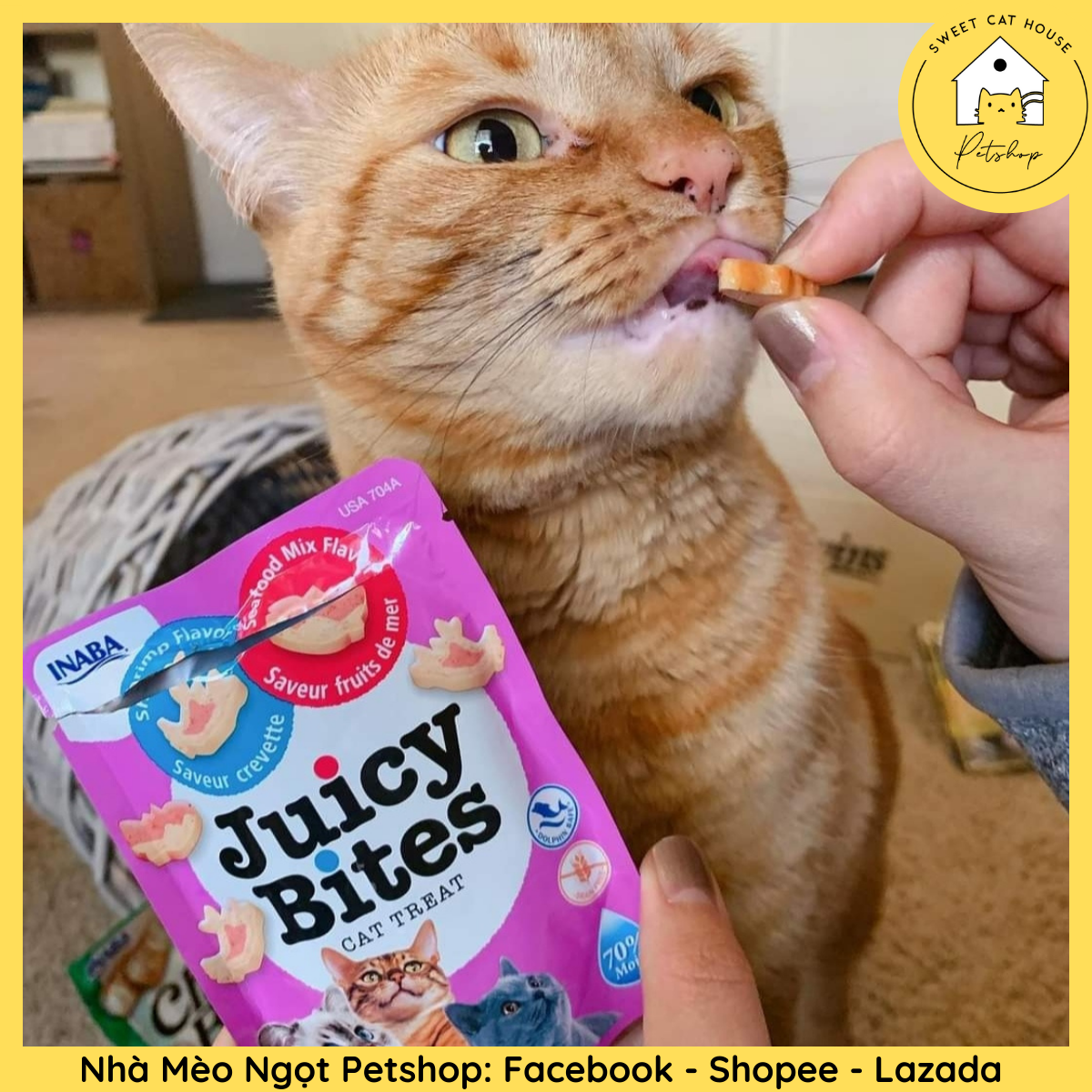 Snack JUICY BITES cho mèo mọi lứa tuổi- Ciao Inaba Thailand