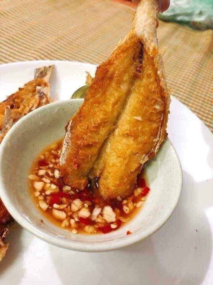 1kg cá mối khô - Hải sản Hạ Long