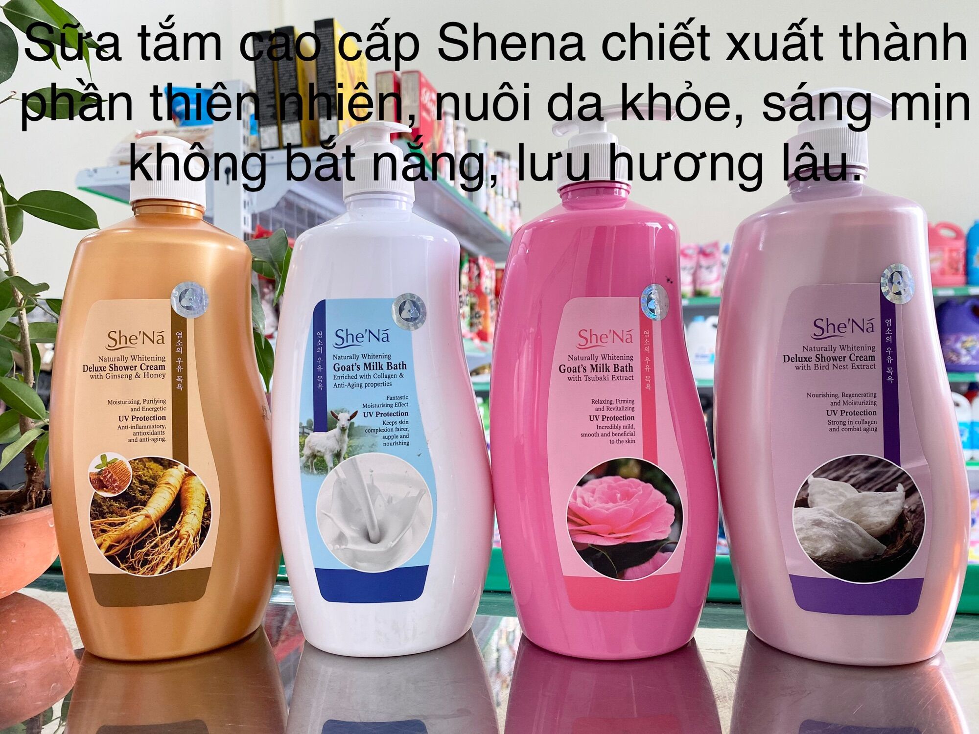 Sữa tắm Shena 1.2L siêu thơm hàn quốc