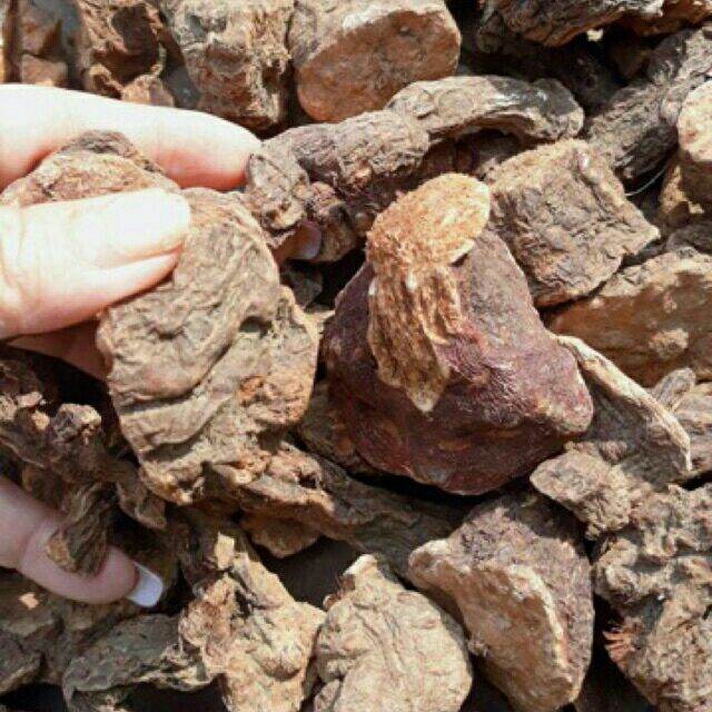 500g củ hà thủ ô đỏ khô