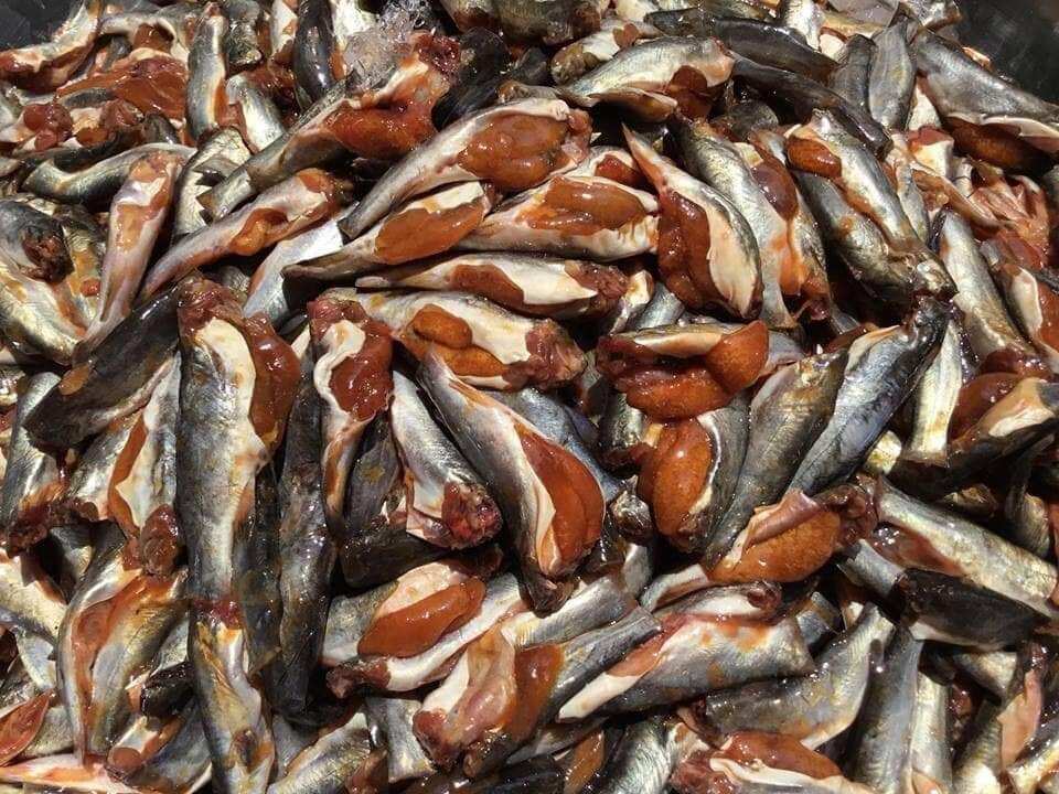 cá chốt trứng kho tiêu hộp 500g