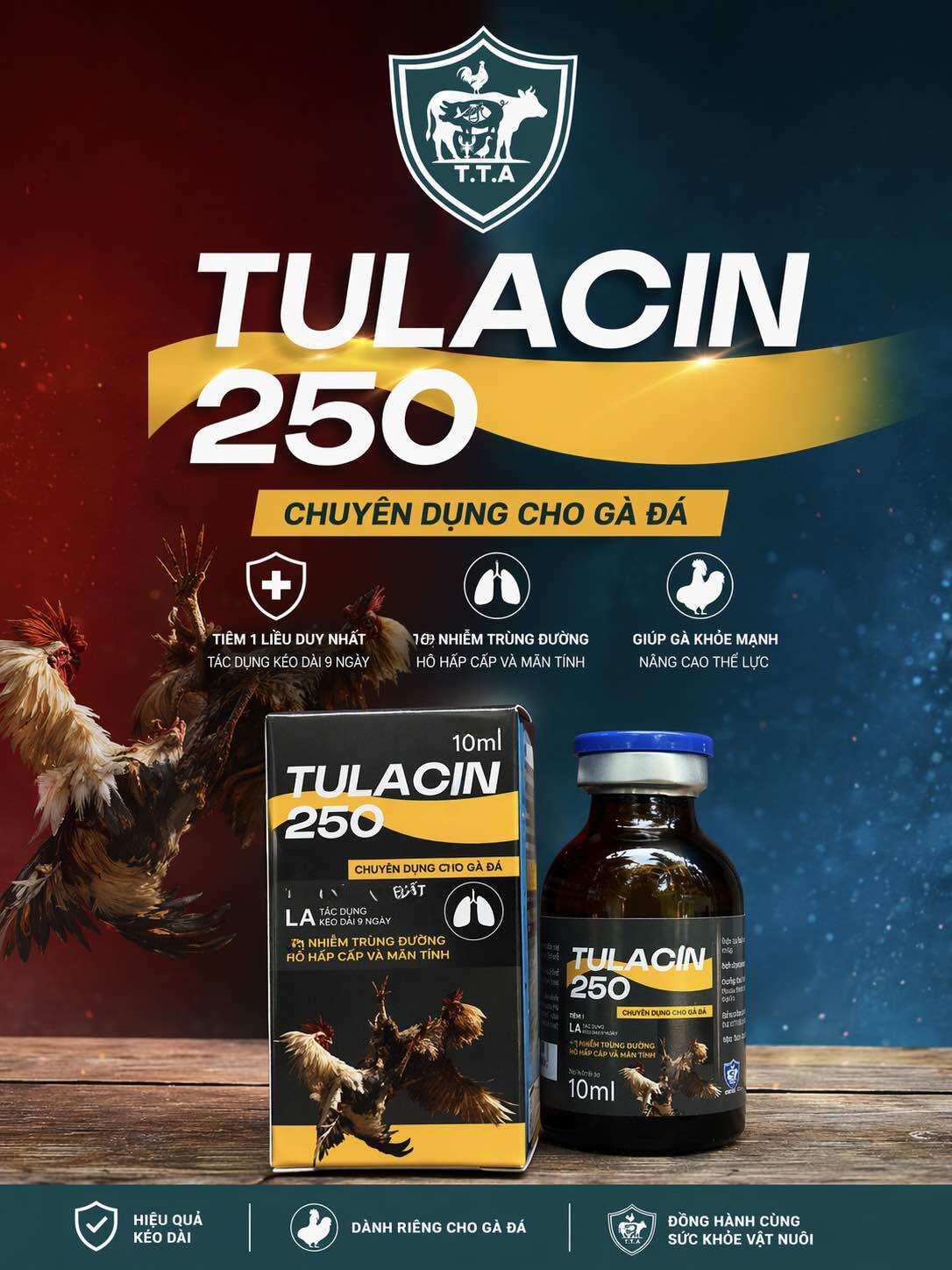 Tulacin 250 10ml cho gà hen khẹc, tụ huyết trùng, viêm phổi nặng