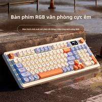Microstep | Bộ Bàn Phím và Chuột Cơ Học Im Lặng RGB
