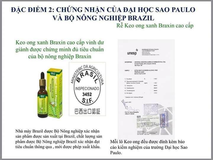 [HCM]KEO ONG GREEN PROPOLIS - BRAZIL
