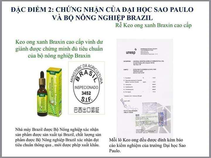 KEO ONG XANH - BRAZIL