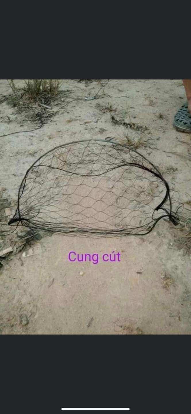 Cung bẫy cút gồm 10 cung