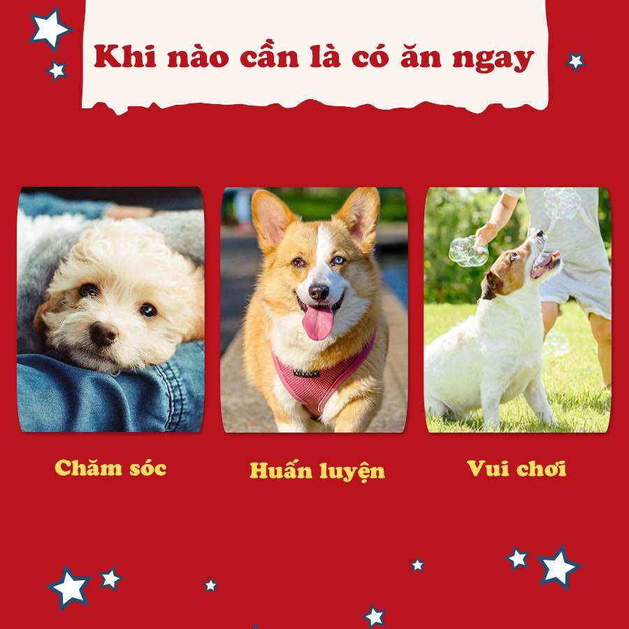 Snack cho chó que cuốn thịt gà Doggyman 10 cây