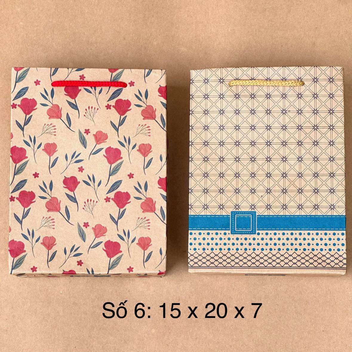 Combo 100c túi quà tặng số 6 túi giấy đựng quà [ Freeship ]