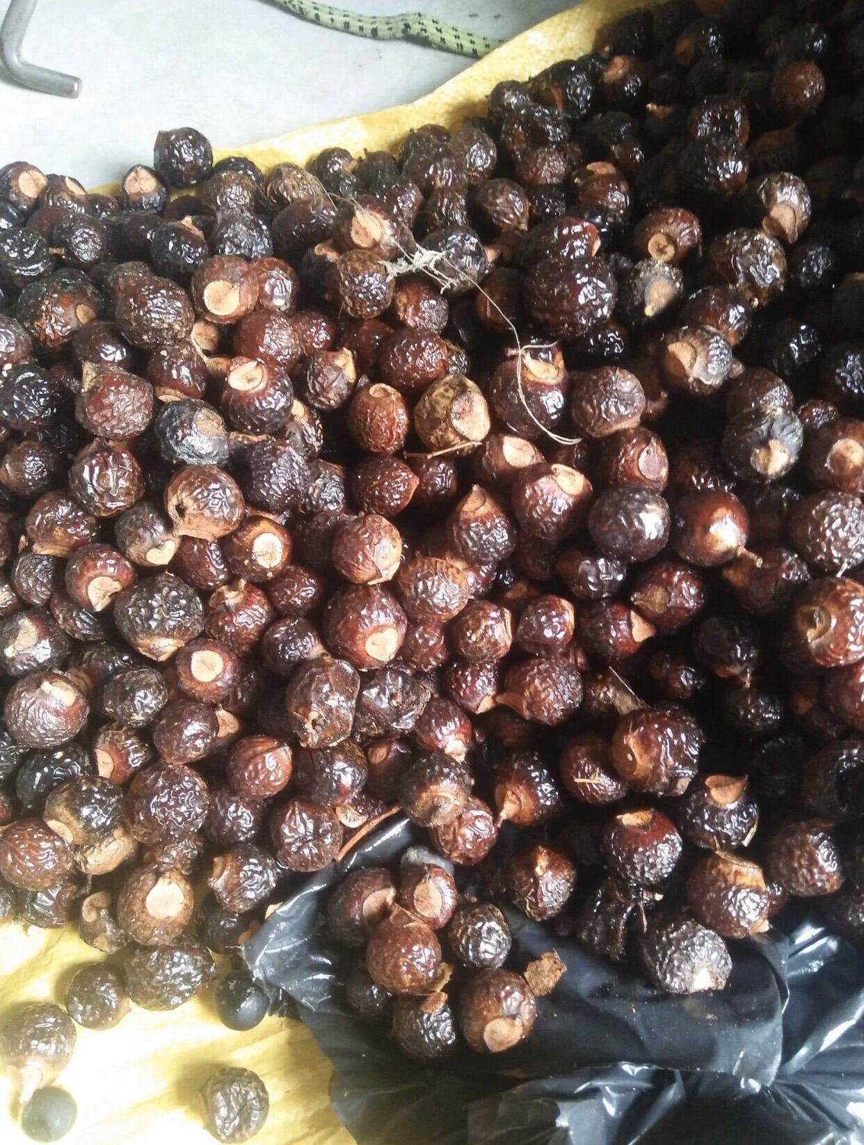 Bồ hòn tách hạt 1kg ( hàng loại 1 nhiều mật)