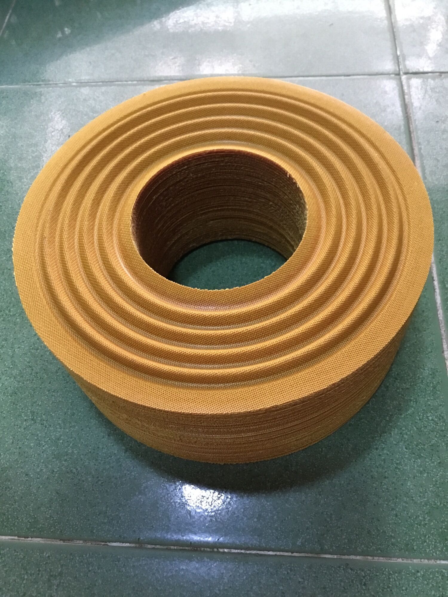 1- NHỆN LOA VÀNG 23CM LỖ COIL 100 BẰNG