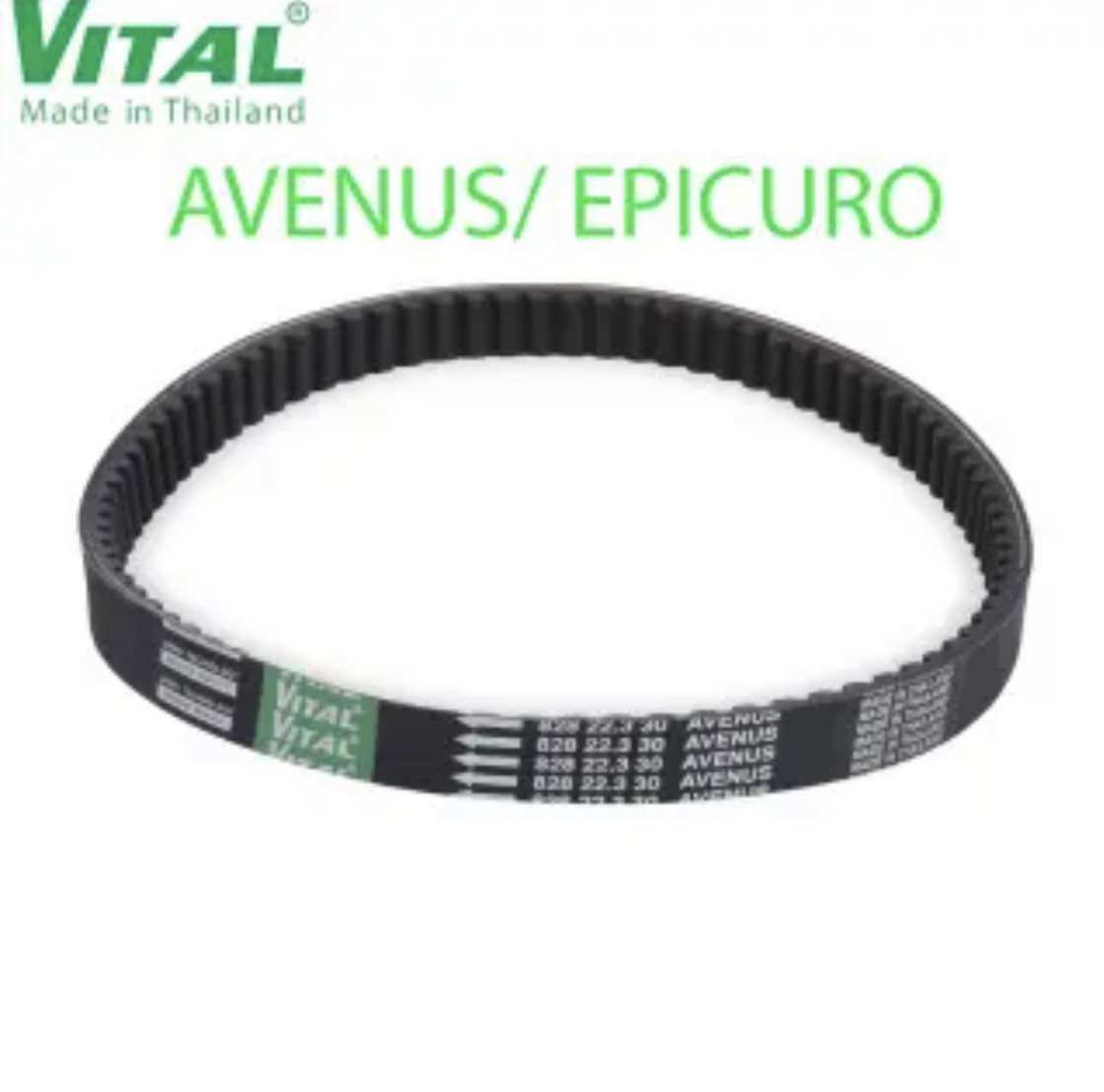 Dây curoa Suzuki Avenus Epicuro - Day curoa VITAL chính hãng hàng Thái Lan chất lượng cao