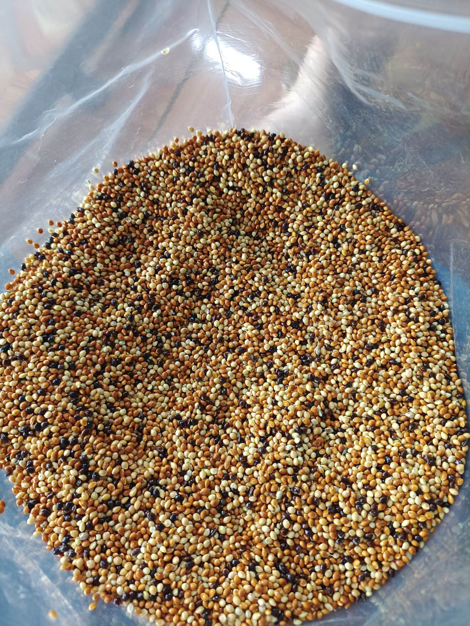 1 kg cỏ thái