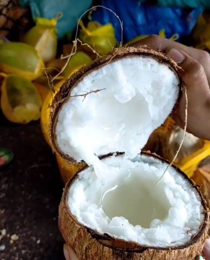 Dừa sáp đặc sản Trà Vinh