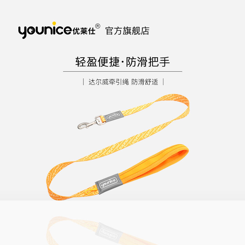 Dây Dắt Chó Dây Dắt Chó Dây Dắt Chó Dây Dắt Chó Dây Dắt Chó Chó To Vừa Chó