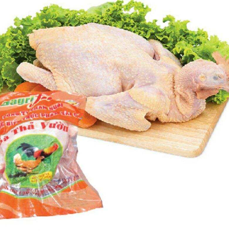Gà thả vườn Vietgap Sagrifood (1.8- 2kg) - [Giao Ngay Tại HCM]