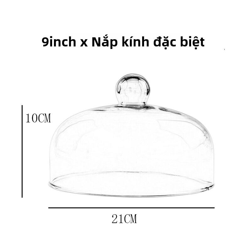 Khay Đựng Bánh Thủy Tinh Trong Suốt Khay Đựng Trái Cây Khay Đựng Bánh Mì Khay Đựng Thức Ăn Nhẹ Khay Đựng Thức Ăn Thử Dùng Tại Cửa Hàng