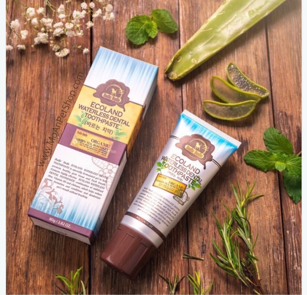 Kem đánh răng khô budle'budle ecoland waterless dental toothpaste hàn quốc 80g