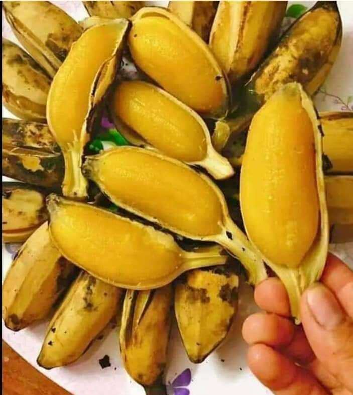 2kg Chuối sáp khách mua về tự luộc