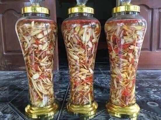 Sâm cau ngâm rượu 1kg