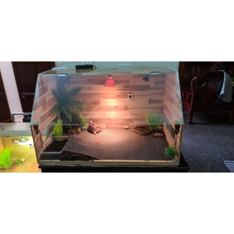 Chuồng nuôi bò sát gỗ ghép và mica bb1 d100-r50-c50cm