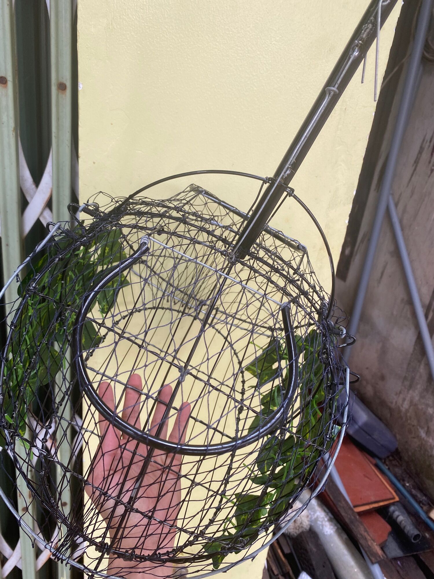 LỒNG BẪY CHÀO MÀO KẾT LÁ