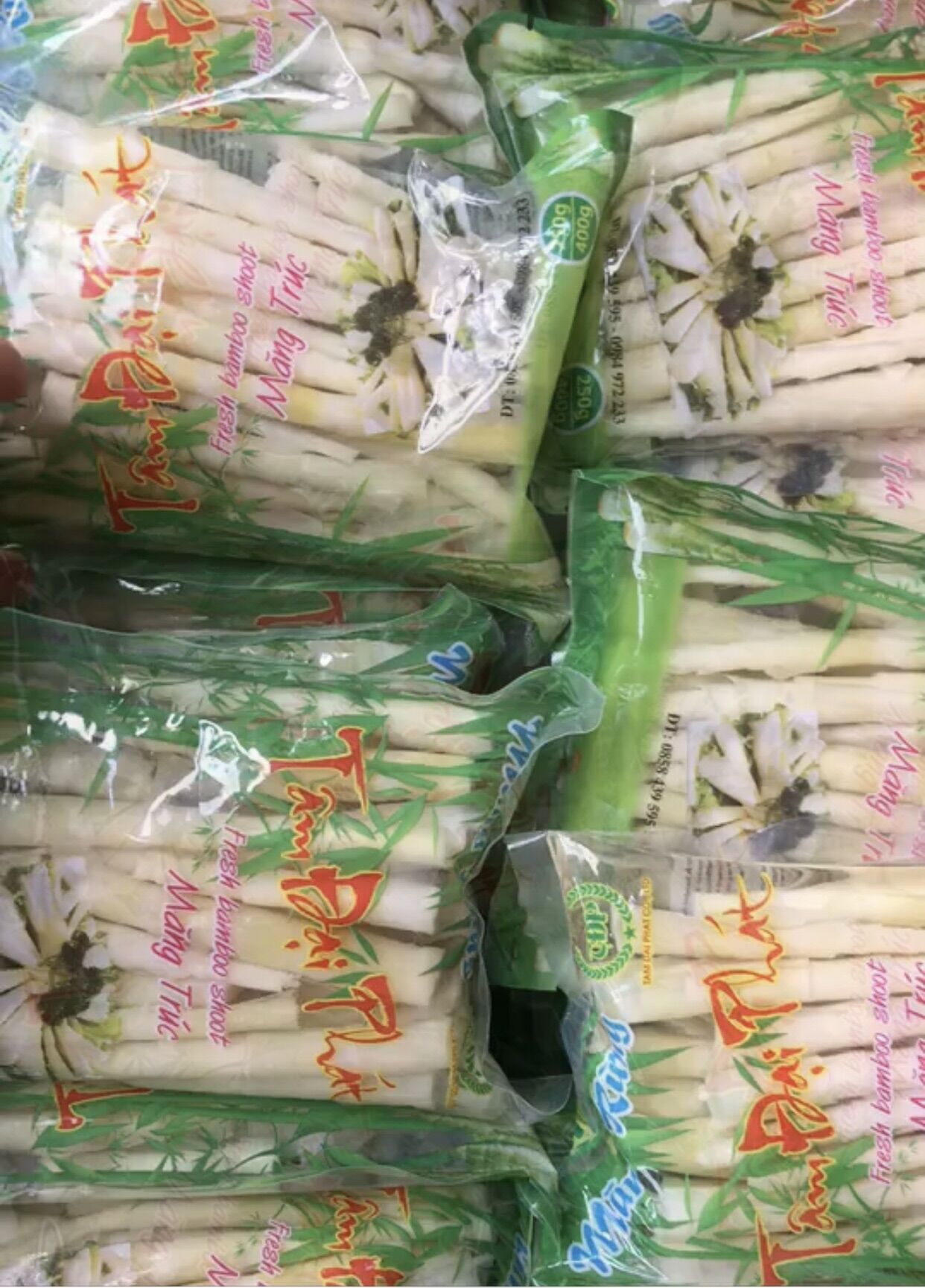 Măng trúc tươi nhỏ: combo 110k/5 túi
