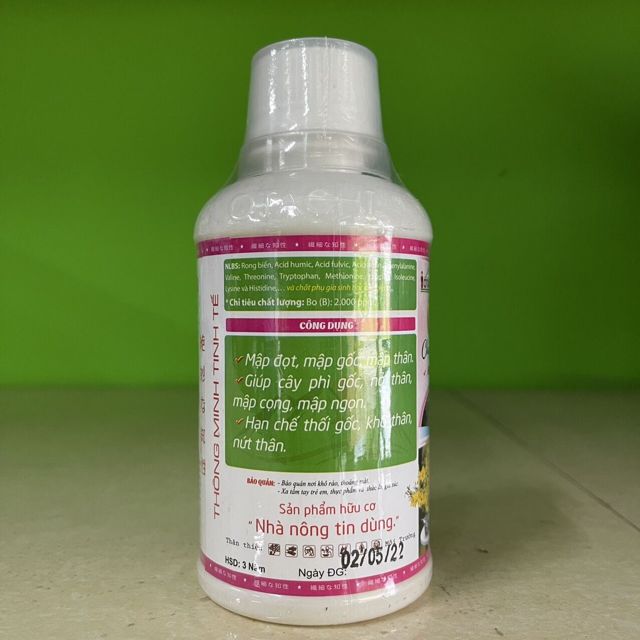 otachi múp mập thân cành 100 ml