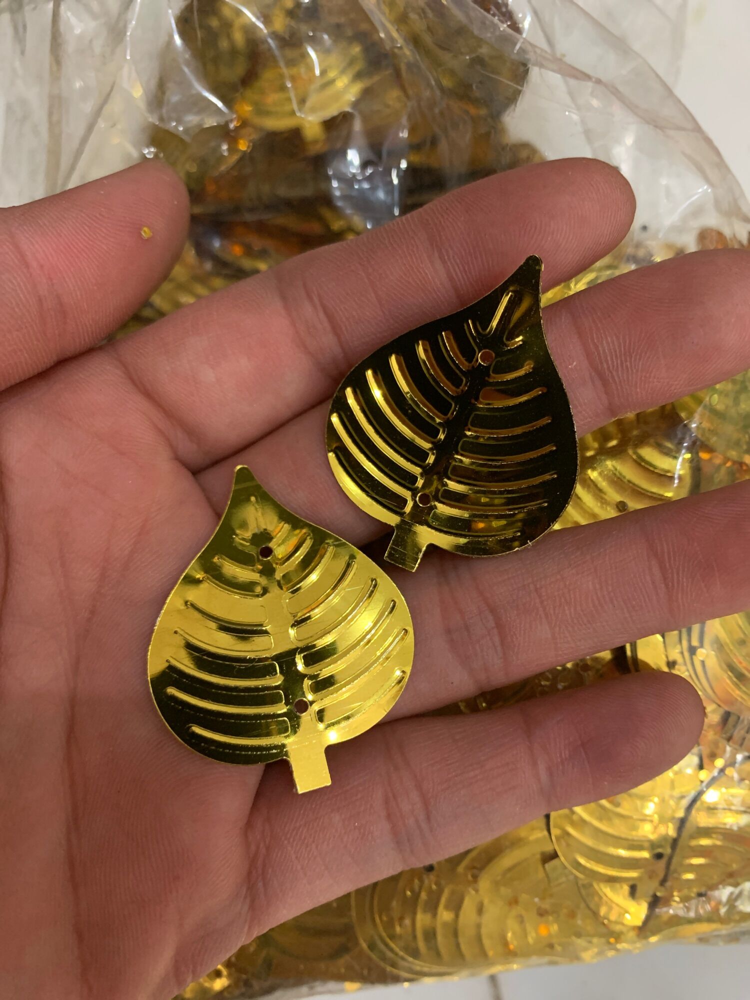 Lá đồng tiền- lá bồ đề