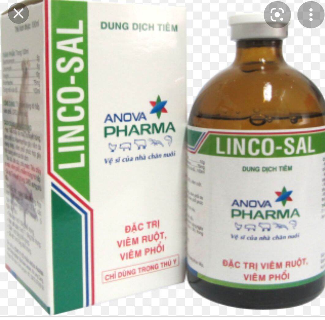Lincosal Linco sal 100ml gà khò