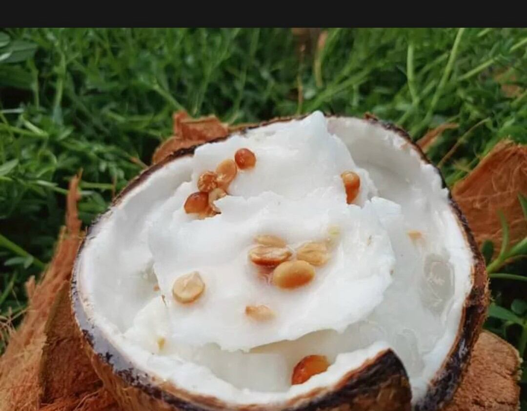 Dừa sáp dạng lỏng , cơm dẻo 1 trái hơn 1kg