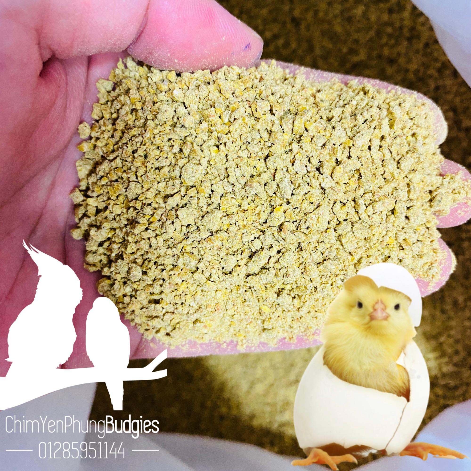 1kg cám bể cho gà con thanh bình (thức ăn hỗn hợp, thức ăn gà)