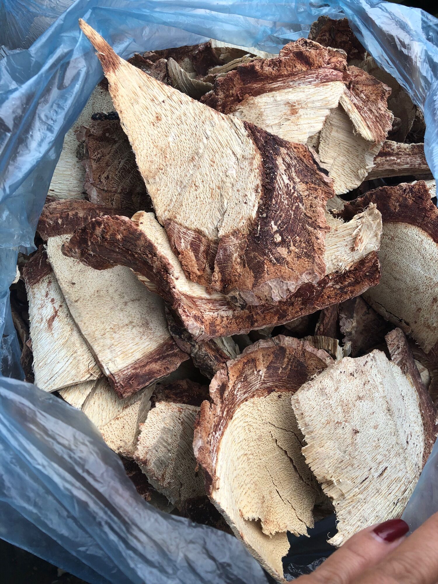 Cỏ máu tăng cân 100k/3kg