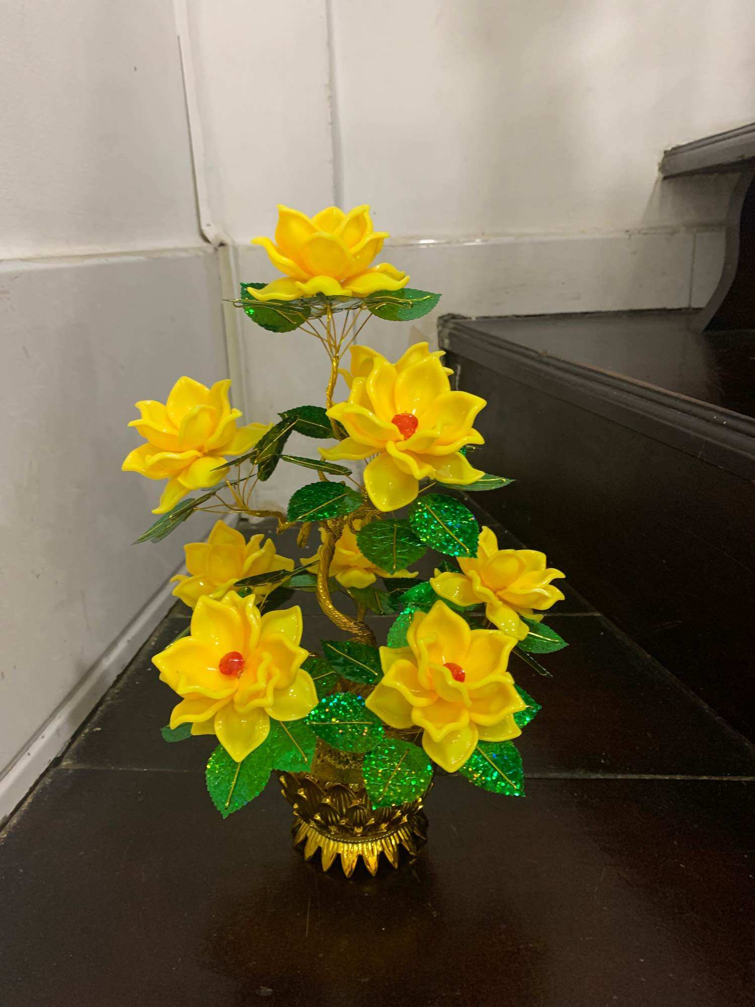 Cây kim tiền- Chậu hoa sen cao 35cm