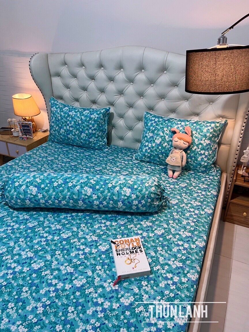 Bộ 4 ga/drap trải giường áo gối thun lạnh thái