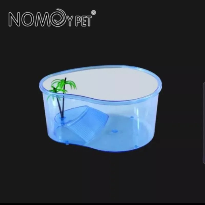 Bể nuôi rùa nhỏ
