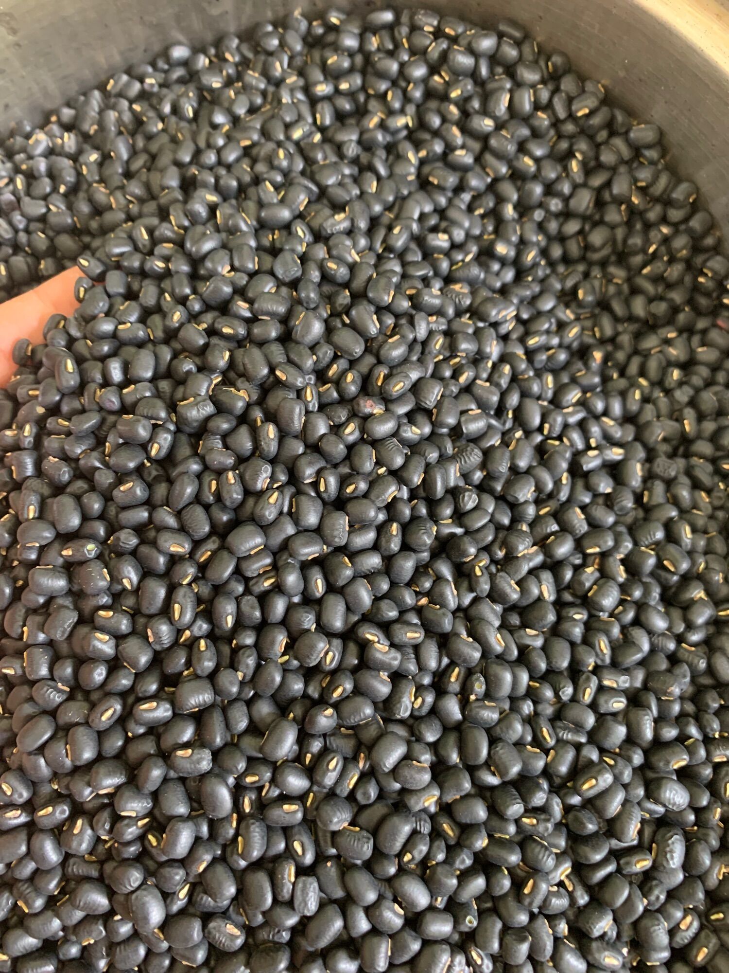 Đậu Đen Xanh Lòng Rang (1kg)