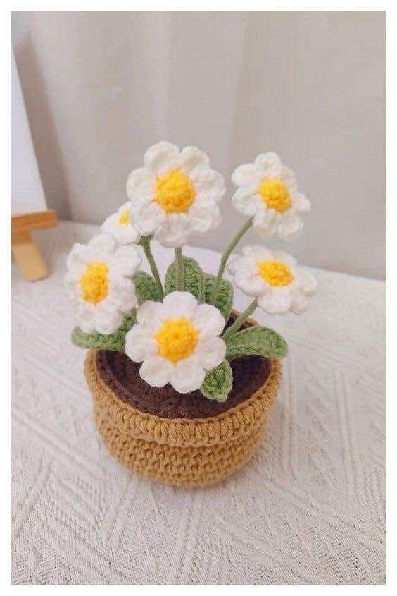 Hoa len chậu cúc để bàn siêu xinh