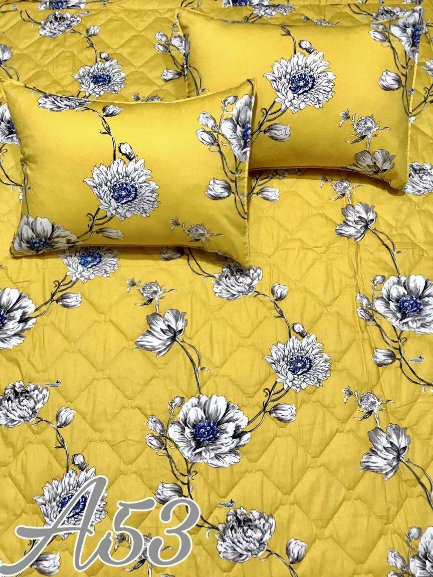 Bộ Drap Gối cotton Thắng Lợi