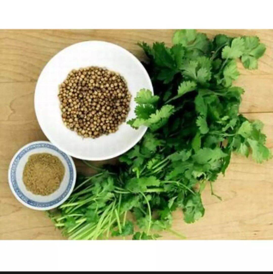 500g bột hạt ngò _ coriander seed power