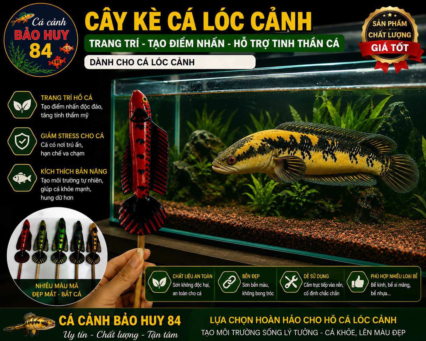 Cây Kè Cá Lóc Cảnh – Cá Cảnh Bảo Huy 84