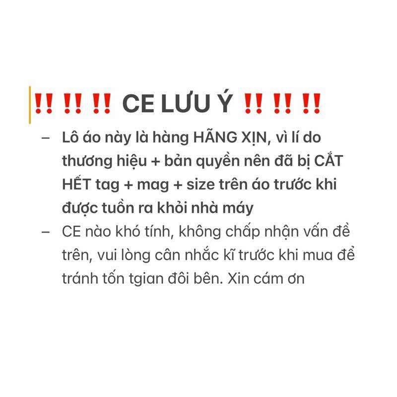 (BIGSIZE 34-46) Áo ngực không gọng mút mỏng quả to CDE