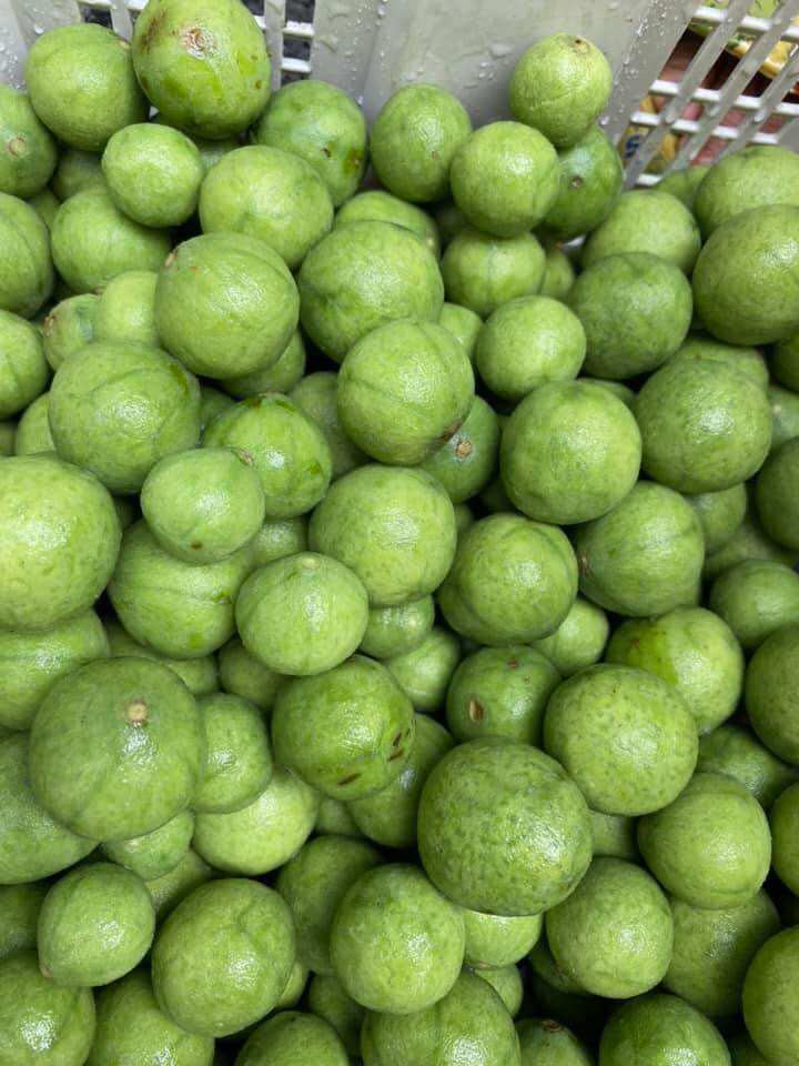 Hủ 1kg Sấu ngâm đường (thức uống giải khát)