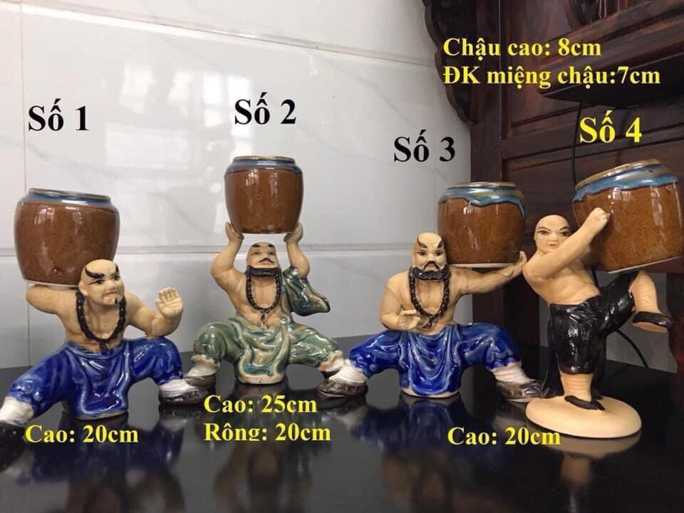 Chậu la hán