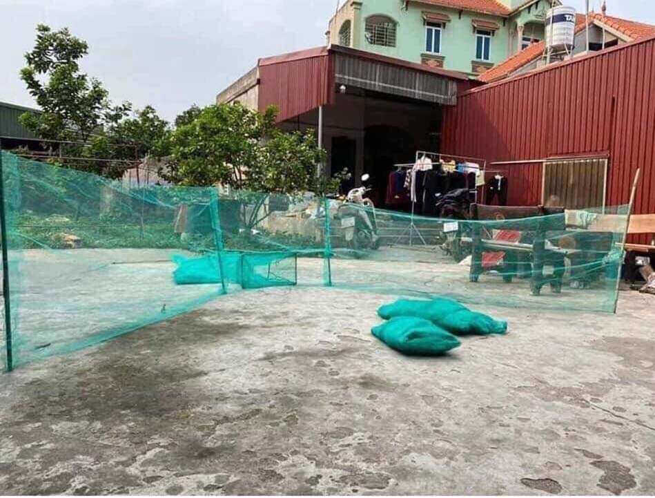 ⭐ Dớn chặn sông, dớn bắt cá